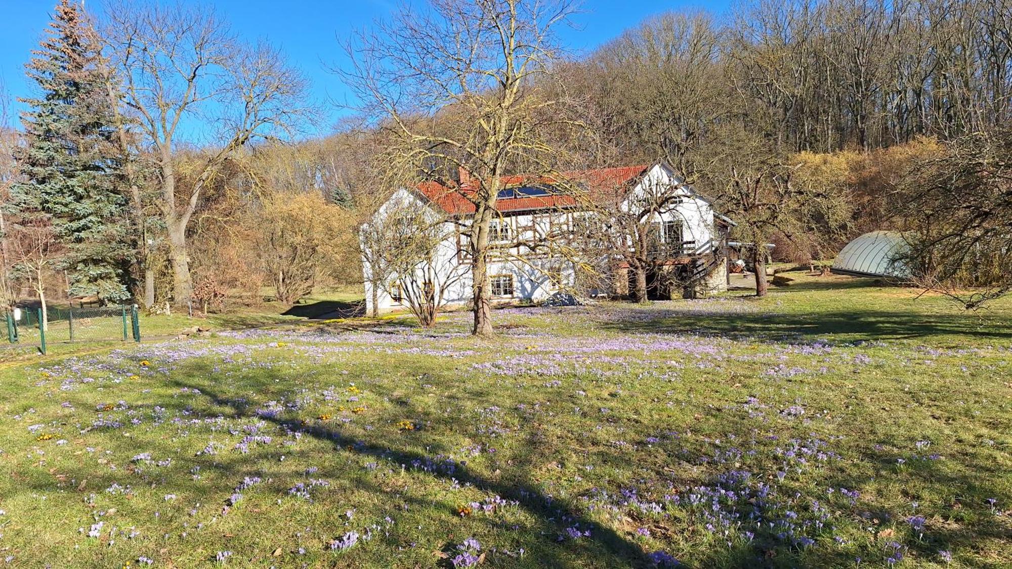Ferienwohnung Obermuehle Ballstädt Rom bilde