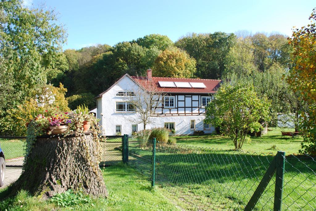 Ferienwohnung Obermuehle Ballstädt Rom bilde